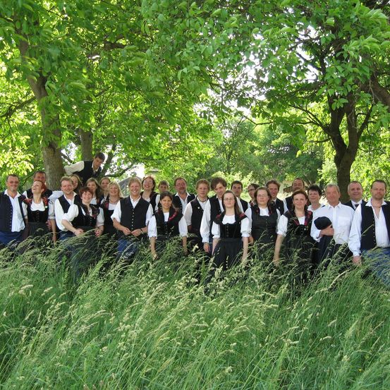Bild enthält, Vegetation, Grass, Tree, Land, Woodland, People, Person, Shirt, Formal Wear, Suit