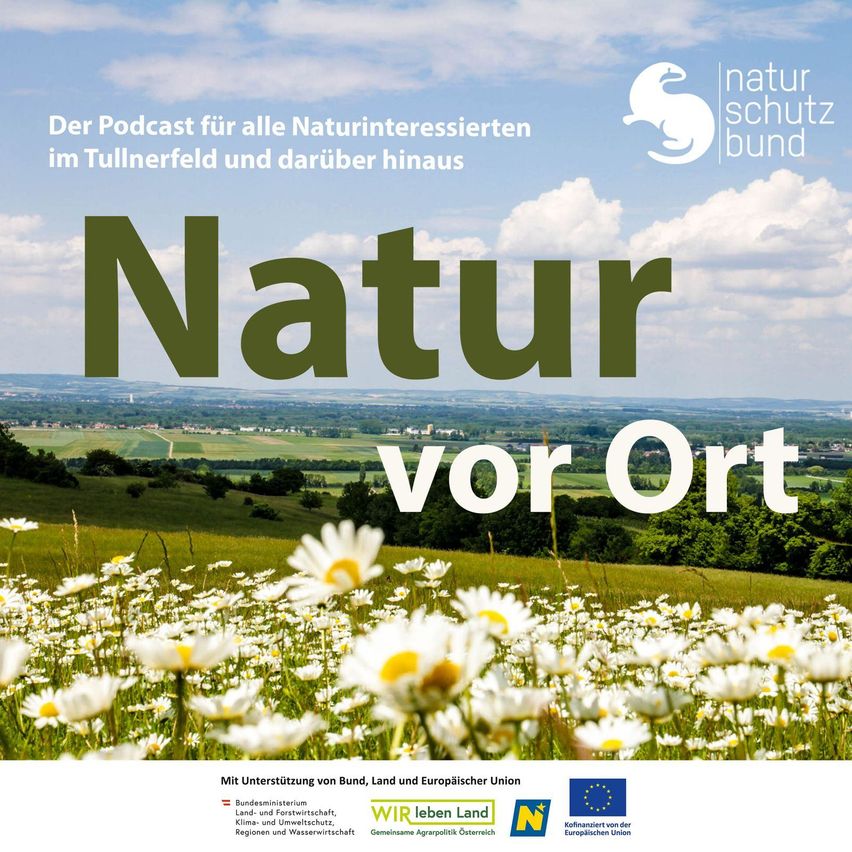 Ein Plakat für einen Podcast über Natur, mit einem Feld weißer Blumen, einem bewölkten Himmel und Bergen in der Ferne. Der Text lautet 'Natur vor Ort'.
