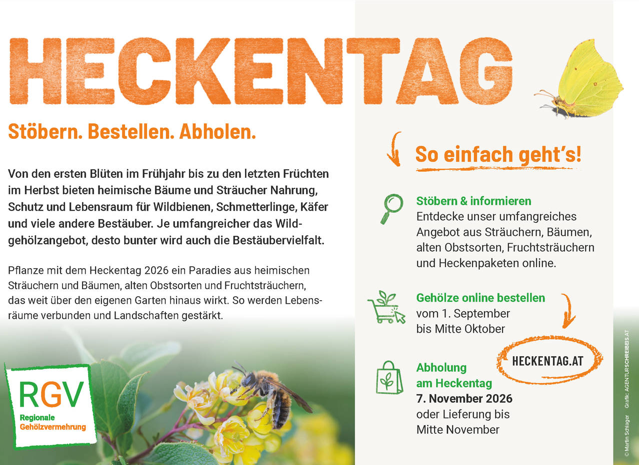 Plakat für Heckentaag 2026, mit einer Biene auf einer Blume, zur Förderung des Kaufs von einheimischen Pflanzen und Sträuchern für Bienen und andere Bestäuber, mit Details zum Online-Bestellen und zur Lieferung.