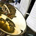 Brass Section, Horn, Musical Instrument, Tuba, Person