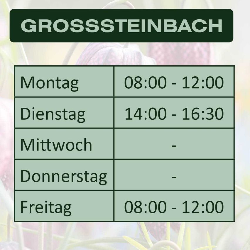 Bild enthält, Business Card, Text, Anther, Flower, Plant, Vegetation