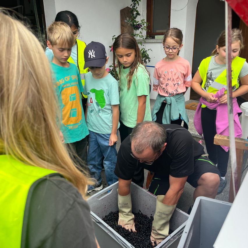 Ein Mann mit Handschuhen sortiert Beeren in einem Behälter, während mehrere Kinder zusehen. Ein Kind trägt einen Yankees-Cap, und ein anderes hat eine Brille. Eine Frau in einer reflektierenden Weste steht in der Nähe.