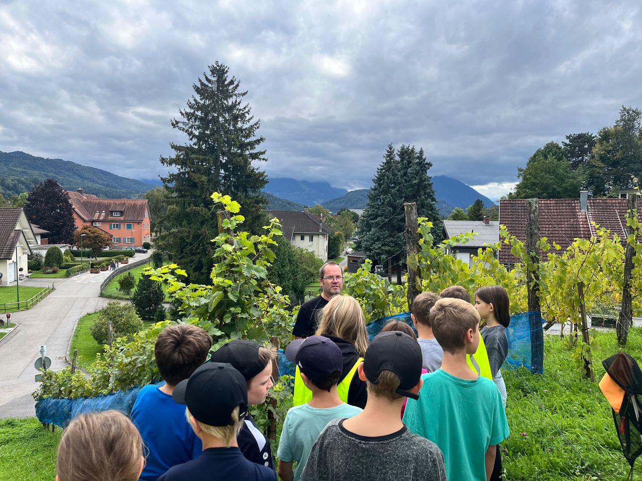 Eine Gruppe von Schülern und einem Lehrer steht in einem Weinberg und beobachtet Trauben. Im Hintergrund befinden sich Bäume und Berge.