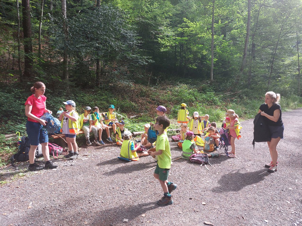 Eine Gruppe von Kindern und Erwachsenen in gelben Warnwesten versammelt sich in einem bewaldeten Gebiet, möglicherweise für eine Naturwanderung. Einige sitzen auf einer Bank, während andere stehen und sprechen.