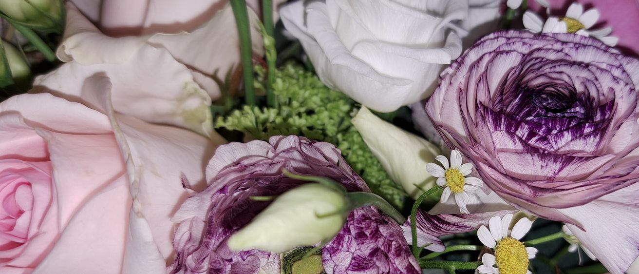 Bild enthält, Flower, Flower Arrangement, Flower Bouquet, Plant, Rose, Petal