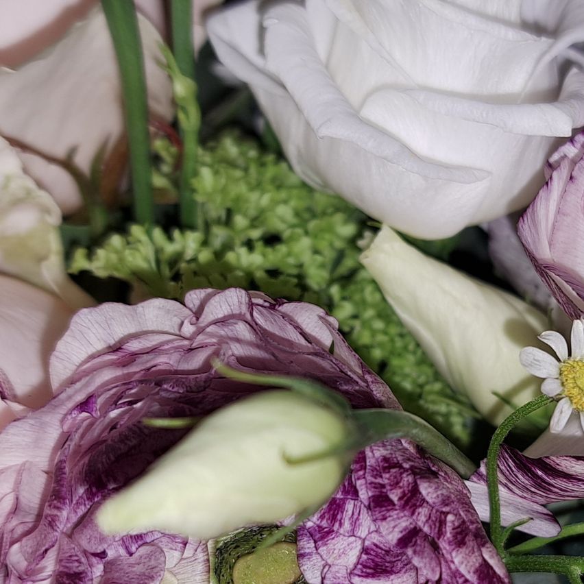 Bild enthält, Flower, Flower Arrangement, Flower Bouquet, Plant, Rose, Petal