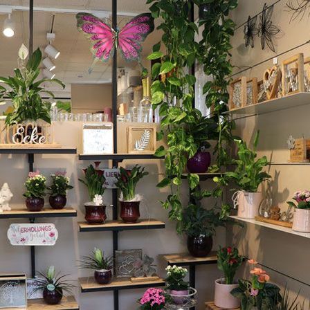 Bild enthält, Plant, Potted Plant, Shop, Flower, Flower Arrangement, Planter