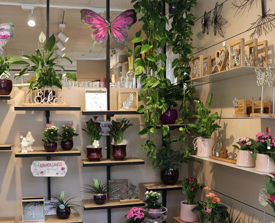 Bild enthält, Plant, Potted Plant, Shop, Flower, Flower Arrangement, Planter