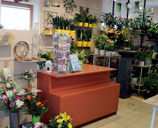 Bild enthält, Flower, Flower Arrangement, Plant, Shop, Indoors, Market, Flower Bouquet, Grocery Store, Supermarket, Potted Plant