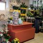 Bild enthält, Flower, Flower Arrangement, Plant, Shop, Indoors, Market, Flower Bouquet, Grocery Store, Supermarket, Potted Plant