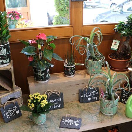 Bild enthält, Plant, Potted Plant, Jar, Planter, Pottery, Vase, Flower, Handbag, Car, Flower Arrangement