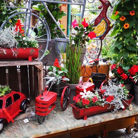 Bild enthält, Plant, Potted Plant, Garden, Nature, Outdoors, Planter, Flower, Flower Arrangement, Car