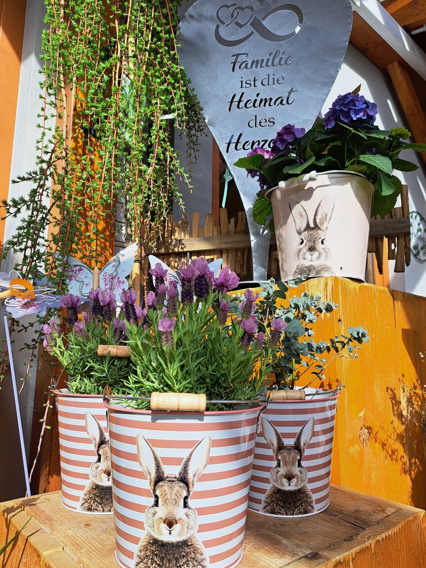 Bild enthält, Jar, Planter, Potted Plant, Pottery, Vase, Herbal, Flower, Flower Arrangement, Geranium, Interior Design