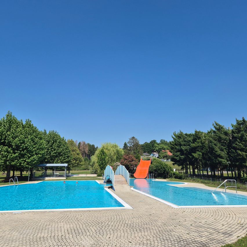 Ein Außenpoolbereich mit blauem Himmel, Bäumen und einer roten Rutsche. Eine Person schwimmt im Pool.