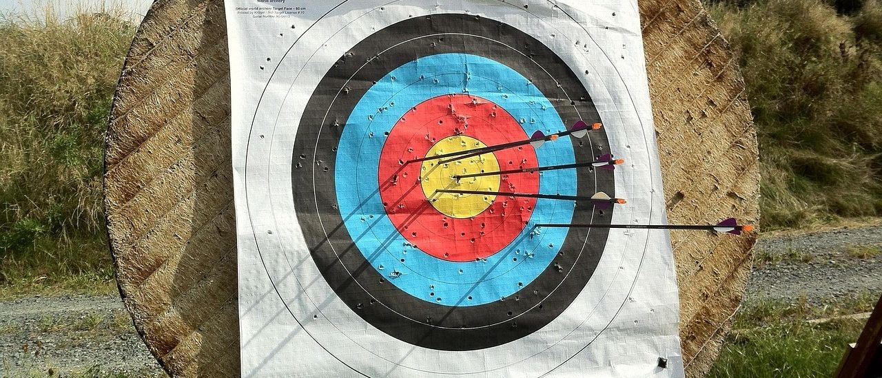 Ein Bogenschießziel mit vier eingebetteten Pfeilen, das an einer Holztafel in einem Grasfeld hängt. Das Ziel hat einen schwarzen Rand und farbige Ringe.