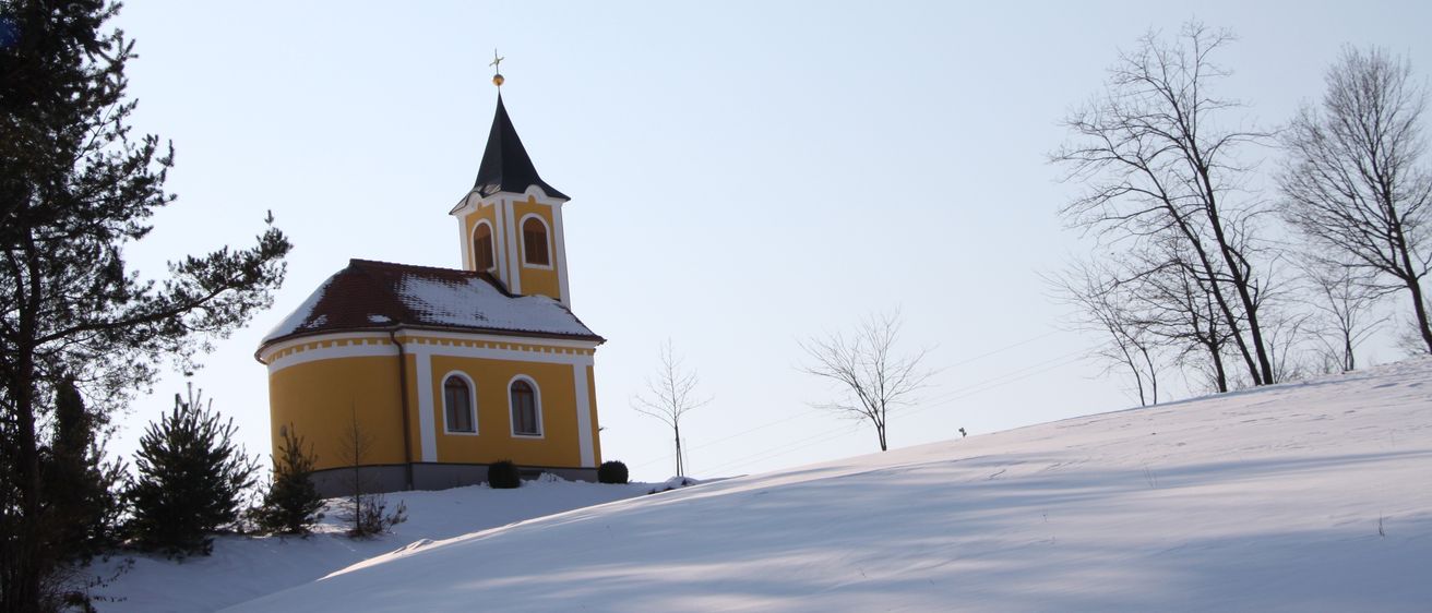 Bild enthält, Building, Spire, Tower, Fir, Tree, Clock Tower, Outdoors, Nature, Conifer, Cross