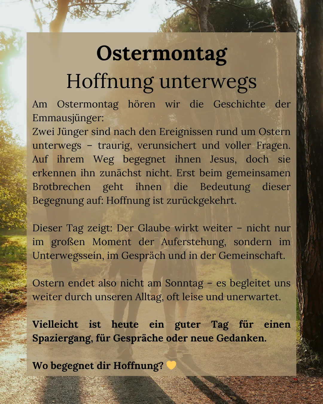 Am Ostermontag hören wir die Geschichte der Emmausjünger. Zwei Jünger sind auf dem Weg - traurig, unsicher und voller Fragen. Auf ihrem Weg begegnet ihnen Jesus, doch sie erkennen ihn nicht. Erst beim gemeinsamen Brotbrechen geht ihnen die Bedeutung dieser Begegnung auf: Hoffnung ist zurückgekehrt.