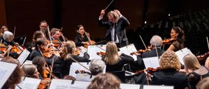 Bild enthält, Indoors, Music, Musician, Orchestra, Person, Adult, Female, Woman, Male, Man