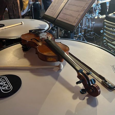 Bild enthält, Musical Instrument, Violin, Adult, Female, Person, Woman, Face, Head