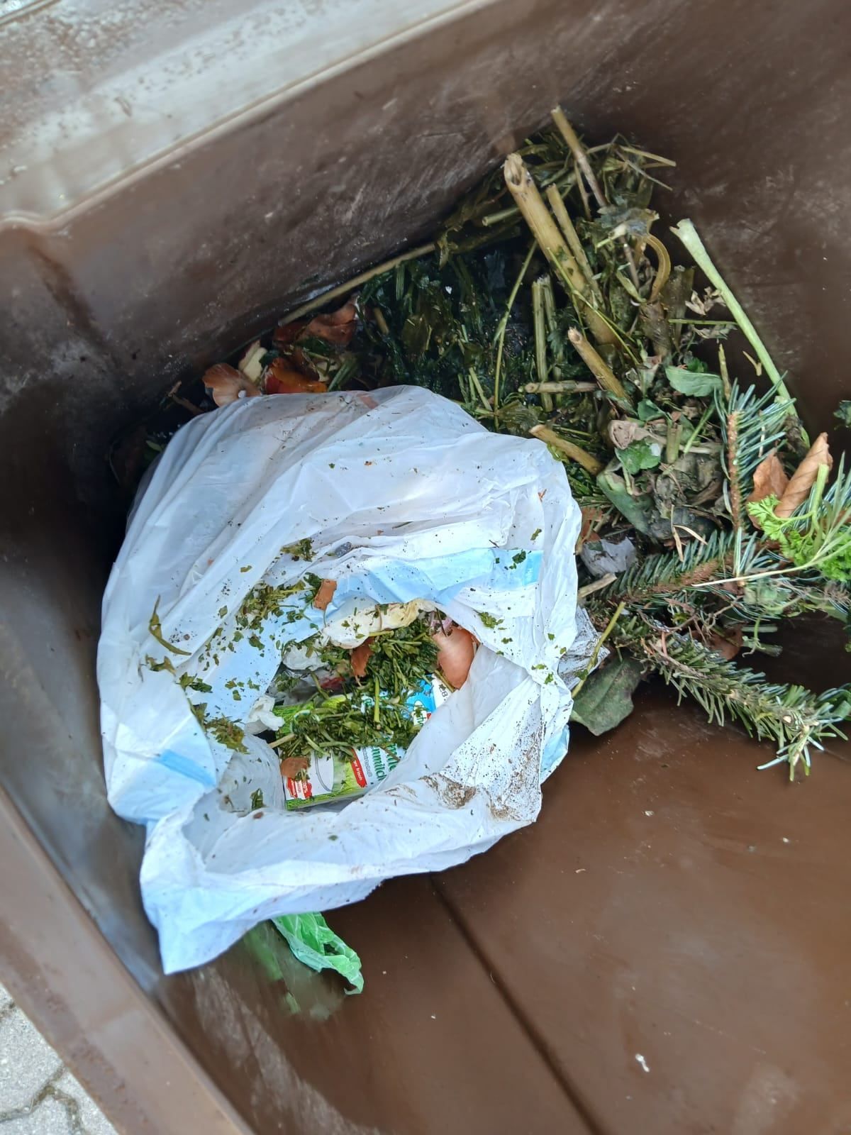 Bild enthält, Garbage, Adult, Bride, Female, Person, Wedding, Woman, Trash