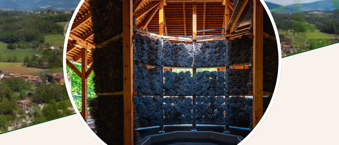 Werbeposter für eine Imkerausbildungsveranstaltung, mit Bild eines Bienenstocks, Datum 3. März 2026, Zeit 10:00-11:00, Ort Generationenhaus Kaninchenstraße.