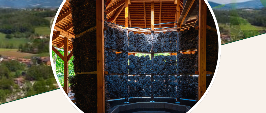 Plakat für Eggerstorfer Bildungs-Pass 2026, zeigt eine bienenstockähnliche Struktur, Berge im Hintergrund und Details über einen Vortrag am 3. März 2026 von 10:00 bis 11:00 im Generationenhaus Rabnitzstraße.