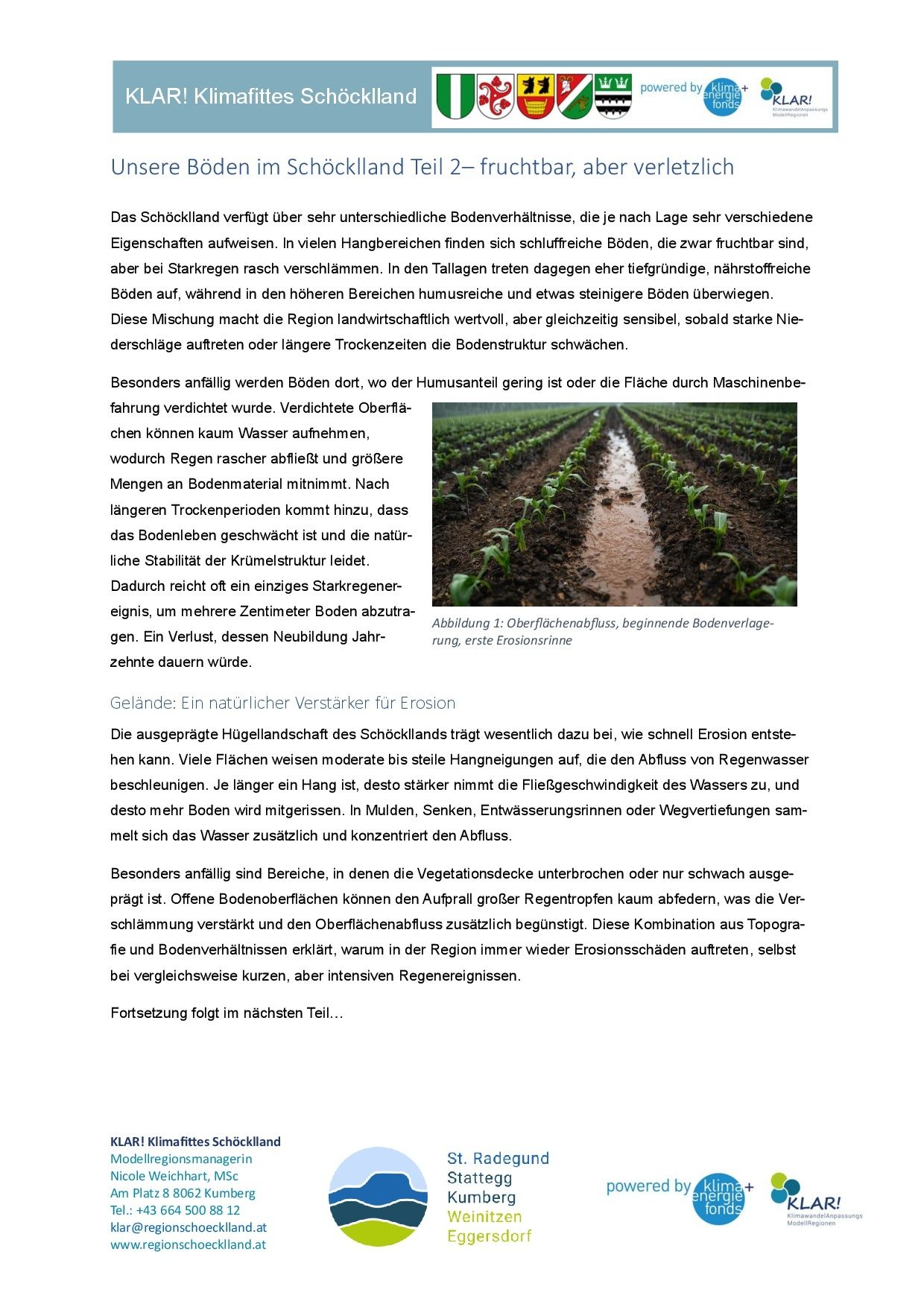 Das Bild zeigt eine Landschaft mit Bodenerosion aufgrund von Regenfällen, was zu schnellem Wasserabfluss und verminderter Bodenstabilität führt. Die Erosion ist in Gebieten mit weniger Vegetationsbedeckung stärker ausgeprägt. Das Land ist hügelig, mit steilen Hängen und minimaler Vegetationsbedeckung, was das Erosionsproblem verschärft.