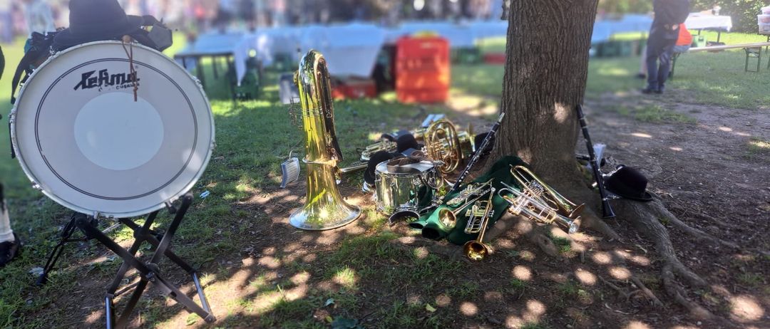 Verschiedene Blechblasinstrumente liegen auf dem Gras, darunter Trompete, Posaune und Tuba, in der Nähe eines Baumstamms.