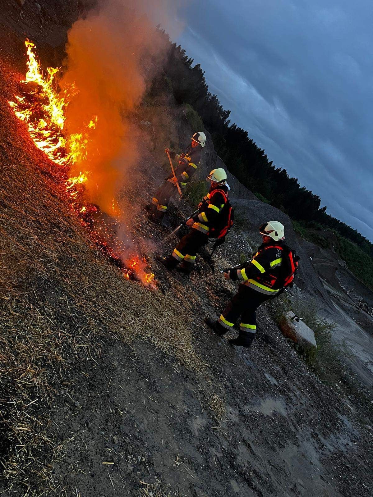 Three firefighters battle a blaze on a steep hillside with dry grass burning. They wear protective gear and carry tools. The sky is overcast.