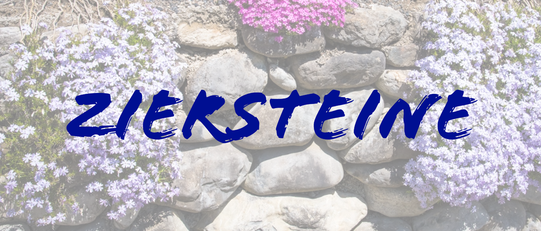 ziersteineneu
