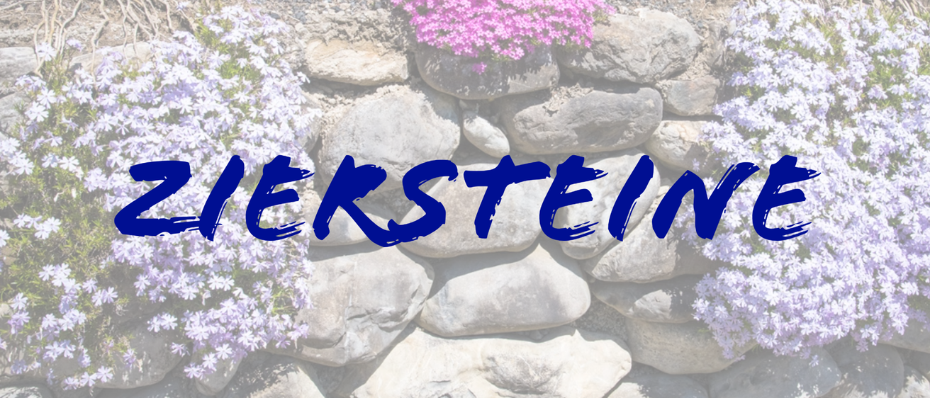 ziersteineneu