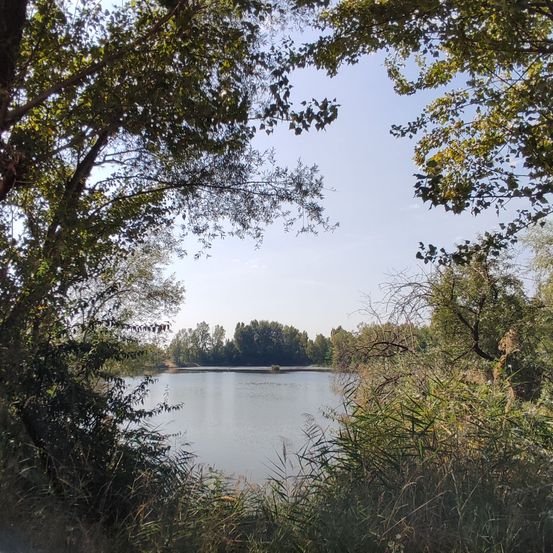 Bild enthält, Nature, Outdoors, Scenery, Land, Vegetation, Tree, Water, Lake, Pond, Car