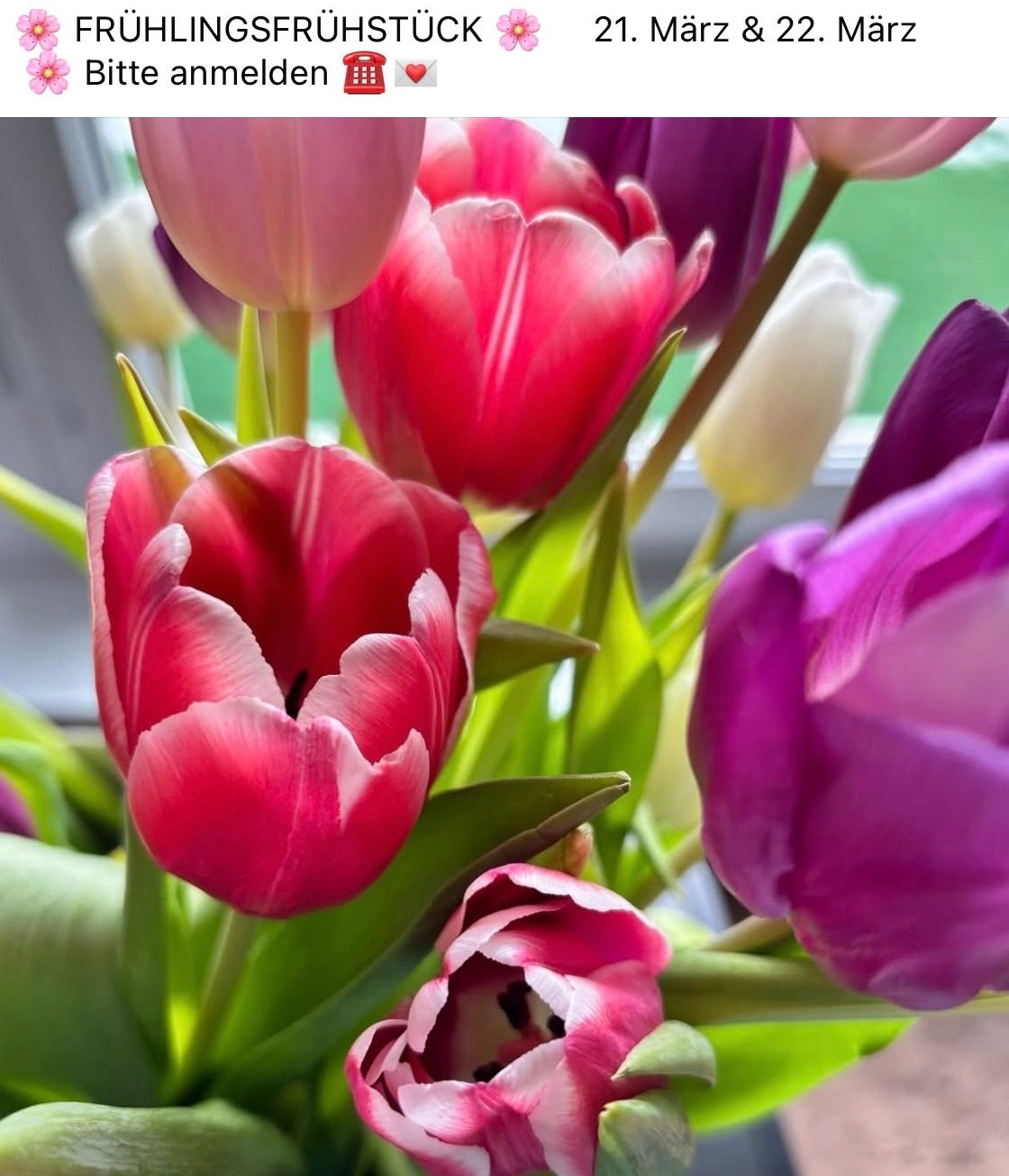 Eine Nahaufnahme mehrerer Tulpen in leuchtenden Farben, darunter Rosa, Weiß und Lila. Die Blumen sind in einem Strauß arrangiert.