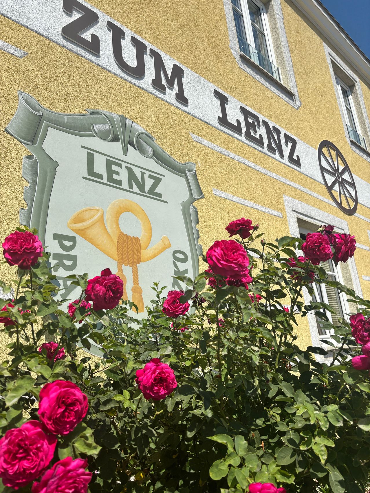 Ein gelbes Gebäude mit weißen Verkleidungen hat ein Schild mit der Aufschrift 'Hotel Lenz'. Ein Rad ist an der Wand befestigt. Ein Busch mit roten Rosen steht vor dem Gebäude.
