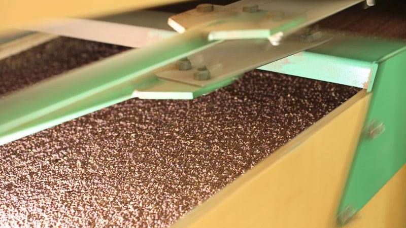 v1_migrated_image_76956969