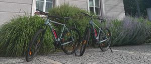 Zwei Fahrräder sind vor einem Gebäude namens Gemeindeamt geparkt, mit Pflanzen und blauem Himmel.