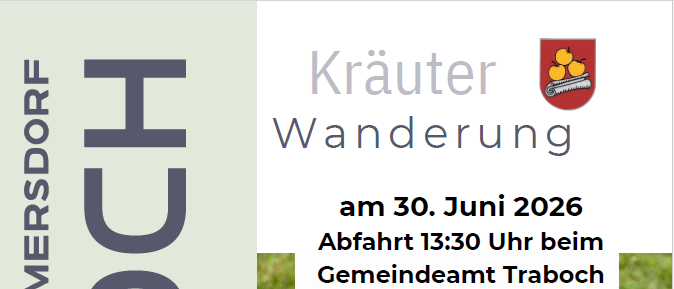 Ein Flyer für eine Wanderung am 30. Juni 2026, Abfahrt 13:30 Uhr in Trabach, zeigt einen Korb mit lila Blumen und eine Person, die Kräuter schneidet.