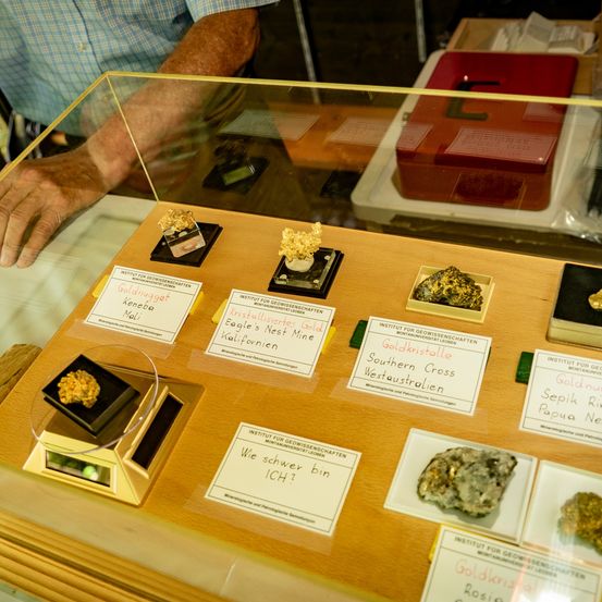 Eine Vitrine mit Goldnuggets und Kristallen aus verschiedenen Orten, darunter Eagle's Nest Mine in Kalifornien, und einer Waage zum Wiegen.