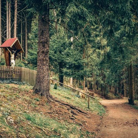 Ein ruhiger Weg im Wald führt zu einem kleinen Holzschrein mit einem Kruzifix. Hohe Bäume umgeben den Pfad und schaffen eine friedliche und nachdenkliche Atmosphäre.