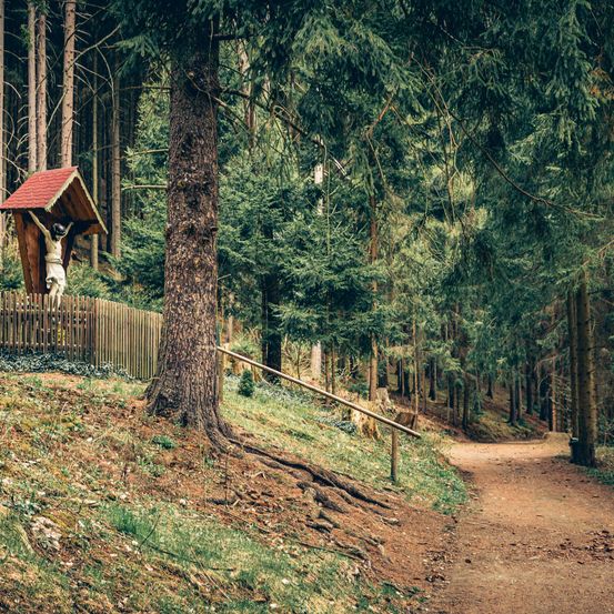 Ein ruhiger Weg im Wald führt zu einem kleinen Holzschrein mit einem Kruzifix. Hohe Bäume umgeben den Pfad und schaffen eine friedliche und nachdenkliche Atmosphäre.
