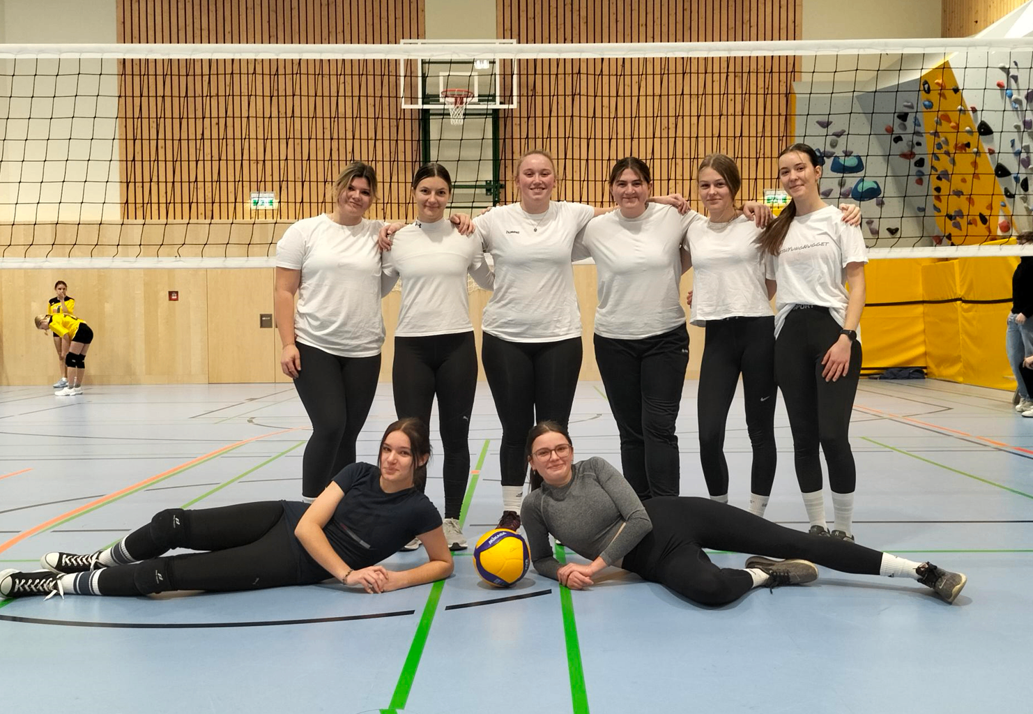People, Person, Adult, Female, Woman, Volleyball (Ball), Shoe, Baton, Face, Sphere