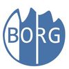 BORG Birkfeld-Logo