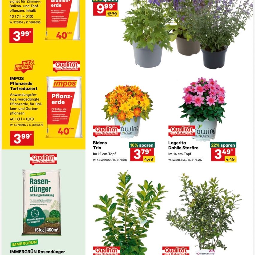The image shows a product catalog with various gardening products. It includes potted plants with prices, such as 'Biedens Trio' for 4.49, 'Lagerita Dahlie Starfire' for 4.49, and 'Immergrün Rasendünger' for 3.99. It features promotional offers like 'Qualität aus Österreich' and discounts like '16% sparen' and '22% sparen'.