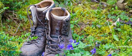 Ein Paar abgenutzte Wanderstiefel liegen auf moosbewachsenem Boden, umgeben von violetten Blumen.
