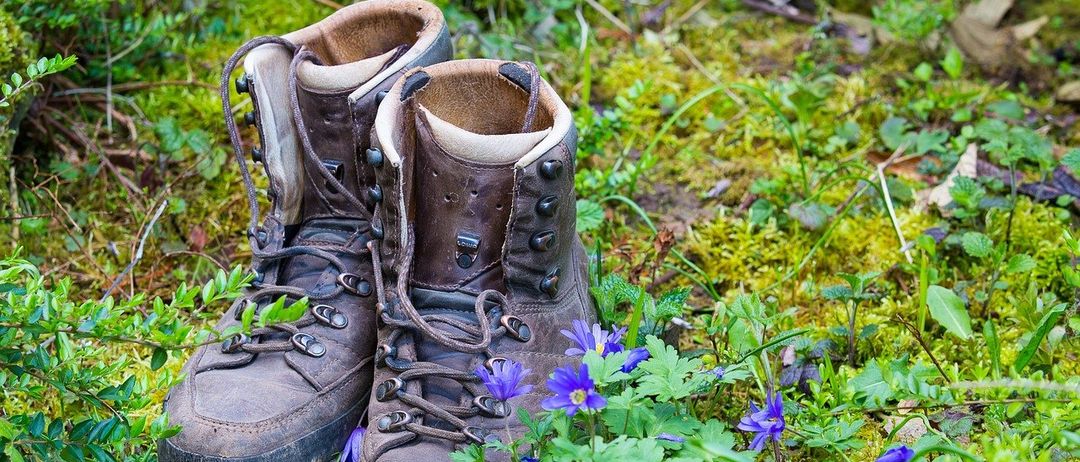A pair of worn hiking boots sit on mossy ground with purple flowers surrounding them.