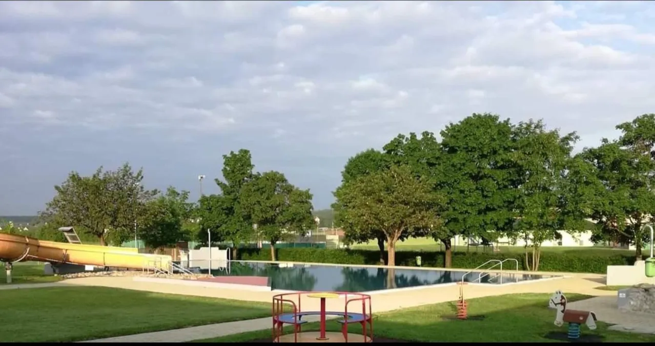 Grass, Nature, Outdoors, Park, Scenery, Backyard, Chair, Pool, Lawn, Sycamore