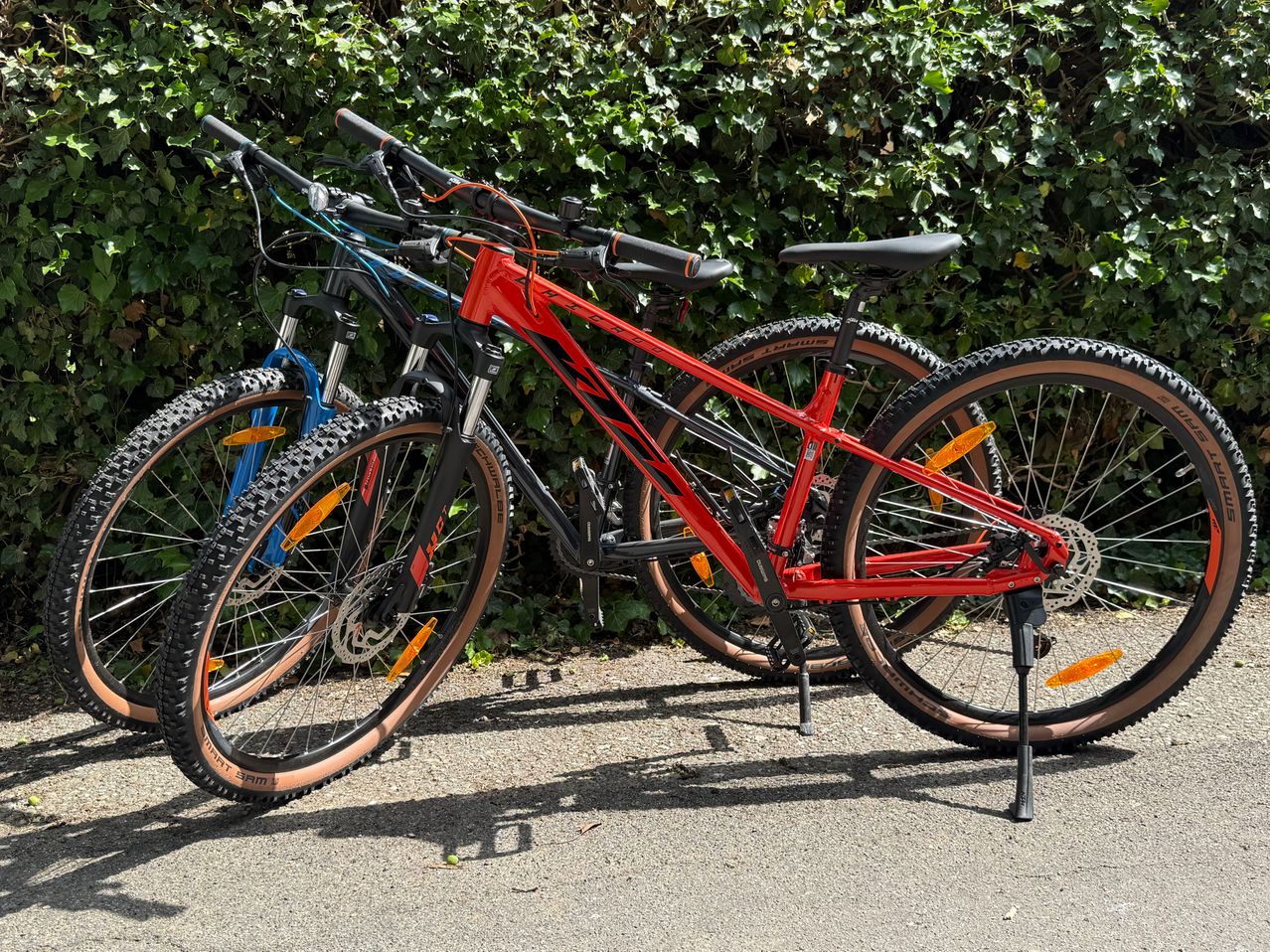 Ein rotes Fahrrad mit schwarzen Lenkern und Reifen ist auf der Straße geparkt. Ein blaues Fahrrad steht dahinter. Die Fahrräder sind auf der Straße abgestellt. Der Schatten der Fahrräder fällt auf die Straße. Hinter den Fahrrädern ist ein grüner Busch.