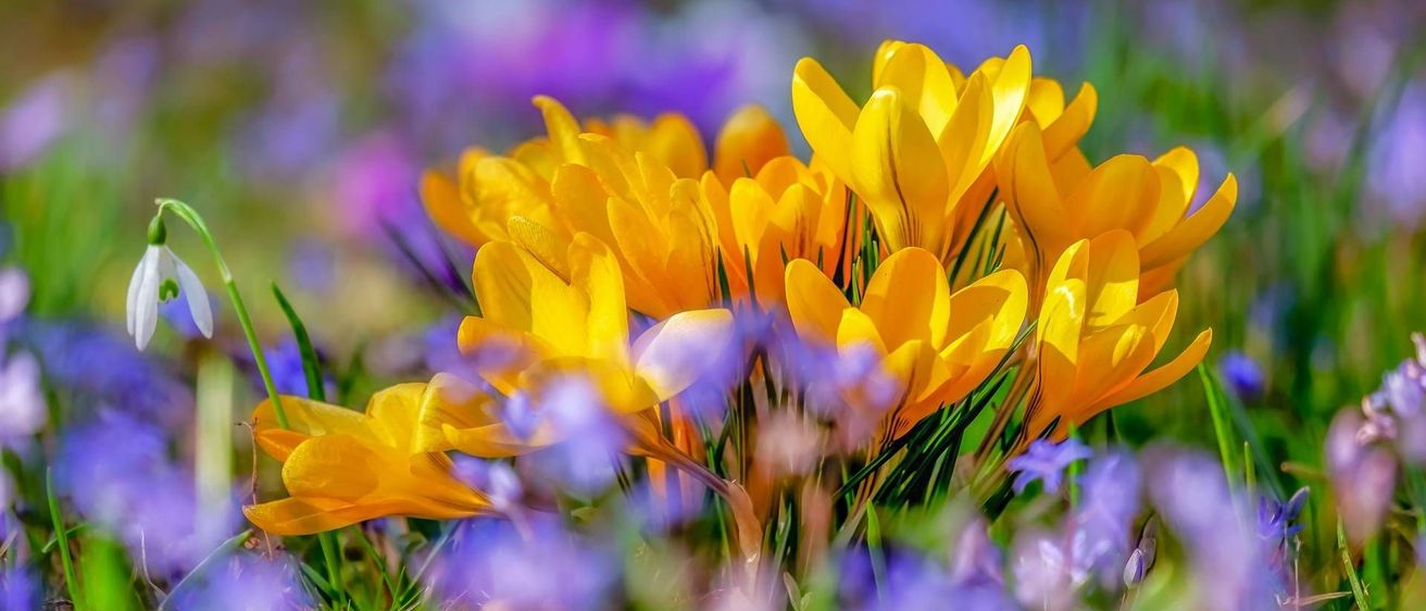 v1_migrated_image_84654108