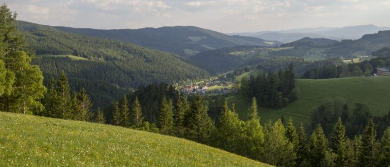 Bild enthält, Slope, Tree, Vegetation, Landscape, Nature, Outdoors, Scenery, Grass, Woodland, Grassland