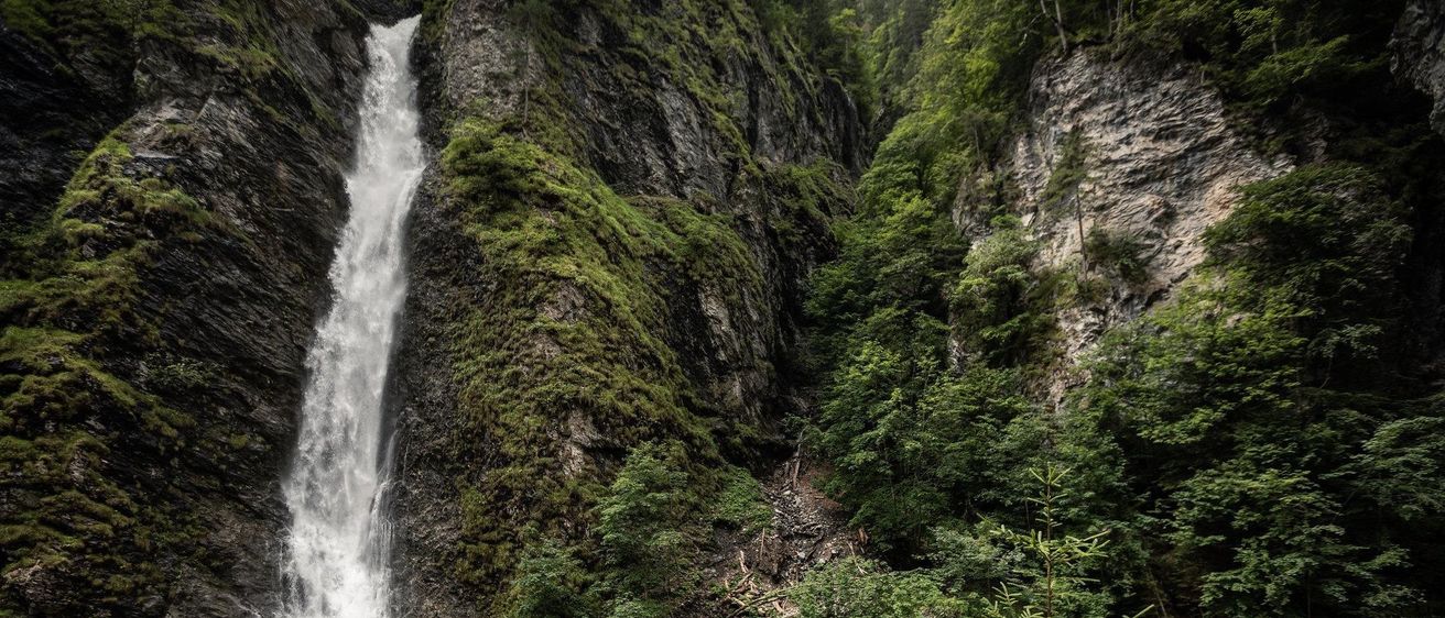 Bild enthält, Nature, Outdoors, Vegetation, Water, Land, Rainforest, Rock, Jungle, Woodland, Waterfall
